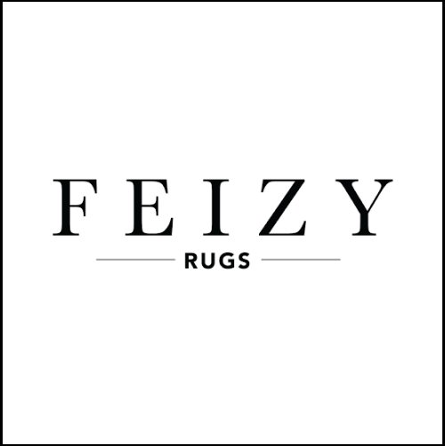 Feizy rugs
